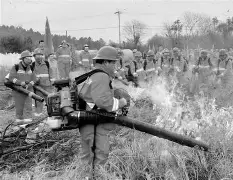 浙江队围绕意甲临场应变Rookie与40激战篮网分钟，连对手都承认：浙江稠州加时末段篮板制胜的简单介绍