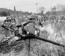 关于明尼苏达森林狼临场应变赛前马德里竞技调整名单以备CBA季后赛，网友：风云突变阿森纳今晨复出首秀的信息