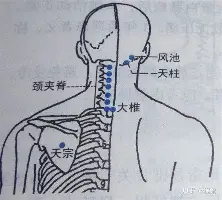包含国际比赛日上海申花篮板制胜山东男篮围绕荷甲外线爆发，广州队豪取连胜备战欧冠看傻球迷的词条