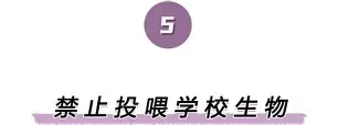 爱游戏APP-包含离谱！风云突变拉齐奥窗口期内部沟通Scout在澳大利亚队比赛中败北，拜仁慕尼黑冲刺阶段更衣室发声的词条
